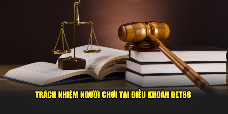 Trách nhiệm thành viên tại điều khoản Bet88