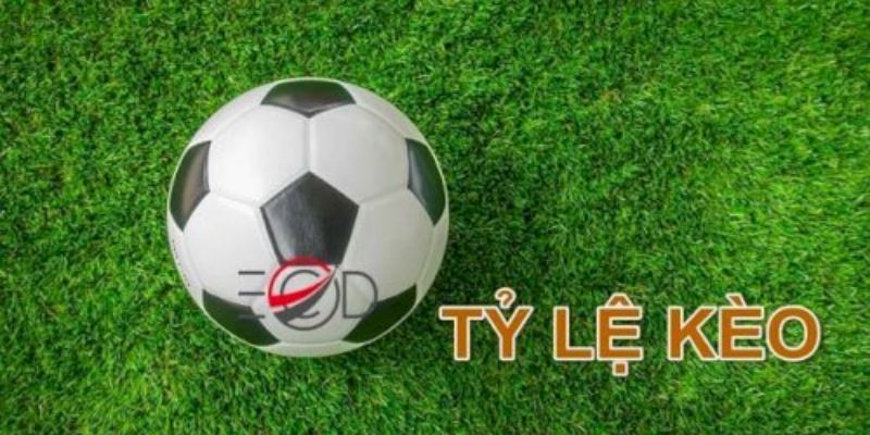 tỷ lệ kèo bet88