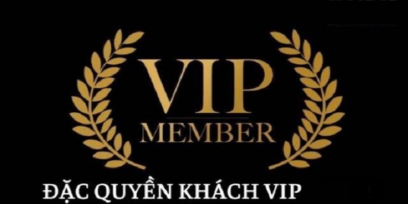 khuyến mãi hội viên VIP